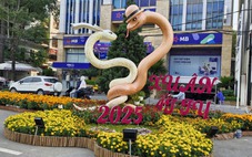 Cần Thơ bắn pháo hoa, làm đường hoa Tết Bính Ngọ