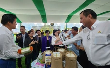 Cần có thương hiệu gạo và sản xuất lúa giảm phát thải