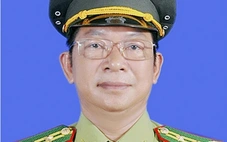 Nguyên Chi cục trưởng Kiểm lâm bị bãi nhiệm chức danh Hội thẩm TAND tỉnh vì vi phạm pháp luật