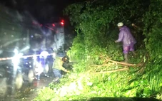 Mưa lớn gây sạt lở 12 vị trí trên đèo Ngoạn Mục nối Khánh Hòa - Lâm Đồng, đã thông một làn xe