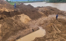 Gia Lai: Xác minh nhóm người đào cây gỗ 'khủng' cạnh sông Ayun
