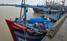 Xác minh tàu cá Đắk Lắk tố bị 3 tàu cá khác tấn công, lấy tài sản