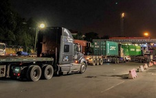 Ùn tắc ở cảng Cát Lái - Phú Hữu: TP.HCM điều phối sản lượng hàng hóa để phù hợp năng lực hạ tầng