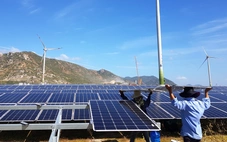 Xanh hóa khu công nghiệp để sẵn sàng đón các nhà đầu tư lớn