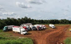 Gần 2.000 container sầu riêng bị ùn ứ, Đắk Lắk lên kế hoạch xây trung tâm kiểm nghiệm