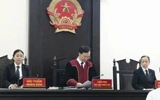 Vụ ‘người vay thoát nợ 5 tỉ’: Toà nhận định Novareal có dấu hiệu 'lừa đảo chiếm đoạt tài sản'