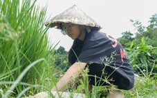 Lũ dữ không ngăn lòng đam mê khoa học, nữ sinh vùng cao trúng tuyển ngành… đường sắt tốc độ cao