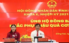Đồng Nai ban hành chính sách cho vay, hỗ trợ doanh nghiệp đầu tư mới xe buýt điện