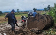 Giao công an làm rõ nhóm người lạ đưa xe múc đào bờ sông Ayun để lấy gỗ 'khủng'