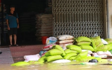 Hộ kinh doanh ở Huế thẫn thờ nhìn hàng hóa thiệt hại sau lũ