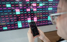 Một công ty chứng khoán bị kiểm soát đặc biệt 4 tháng, phải ngừng cho vay margin