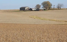 Trung Quốc cam kết mua 75 triệu tấn đậu nành Mỹ trong 3 năm tới