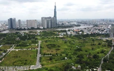TP.HCM: Khẩn trương cung cấp dữ liệu giá để kịp xây dựng bảng giá đất