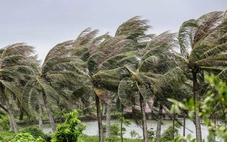 Khả năng có áp thấp hoặc bão vào Biển Đông tuần đầu tháng 11