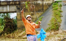 Gần 170.000 hộ dân miền Trung được cấp điện trở lại sau khi lũ rút