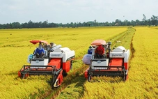 Trao giải cuộc thi viết Dấu chân trên hành trình đổi mới