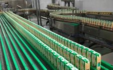 Chủ thương hiệu sữa KUN báo lỗ cả trăm tỉ đồng