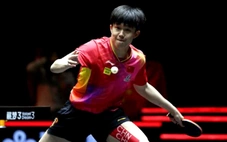 Trung Quốc thâu tóm 5 chức vô địch ở giải 'Grand Slam bóng bàn'