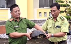 Thấy con rùa răng 10kg đối mặt nguy cơ tuyệt chủng trên đê, công an bàn giao kiểm lâm