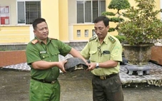 Thấy con rùa răng 10kg đối mặt nguy cơ tuyệt chủng trên đê, công an bàn giao kiểm lâm