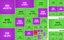 VN-Index tăng sốc 50 điểm, la liệt cổ phiếu chứng khoán tím trần trước ngày nâng hạng