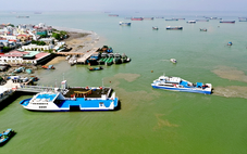 TP.HCM yều cầu xem xét đề xuất làm đường vượt biển Cần Giờ - Vũng Tàu của Vingroup trước ngày 10-10