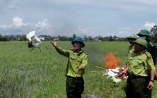 10 con cò trắng được giải cứu giữa 'thiên la địa võng' các loại bẫy chim trời