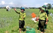 10 con cò trắng được giải cứu giữa 'thiên la địa võng' các loại bẫy chim trời