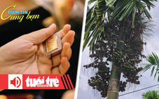 Điểm tin 18h: Vàng miếng SJC chạm mốc 140,6 triệu đồng/lượng; Trung Quốc chỉ mua cau dài