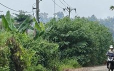 Lập khống hồ sơ, giả chữ ký, nghi gian lận chấm thầu dự án  ở Đắk Lắk