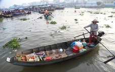 Mật độ rác nhựa ven sông ở đô thị Cần Thơ gấp 3 lần ở nông thôn