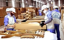 Thông tin mới về đàm phán thuế đối ứng với Mỹ và tác động việc Chính phủ Mỹ đóng cửa