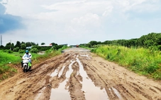 Đê biển cấp bách nhưng thi công chậm như ‘rùa bò’