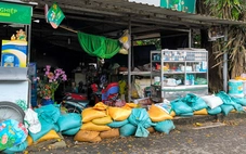 Triều cường TP.HCM bắt đầu lên; yêu cầu không được xả lũ bất ngờ