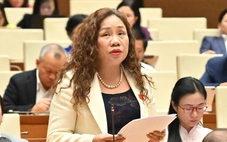 Đại biểu Quốc hội hiến kế phát triển 'nền kinh tế tóc bạc' ở Việt Nam