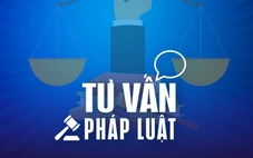 Chung sống như vợ chồng thì tài sản chia thế nào?