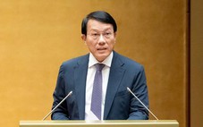 Người sử dụng trái phép ma túy phải cung cấp đầy đủ, chính xác chất ma túy do đâu mà có