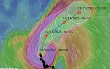 Vì sao bão Phượng Hoàng đi lên phía bắc, không đi theo quy luật thông thường?