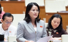 Đại biểu Quốc hội đề xuất kê biên tài sản số để bảo đảm nghĩa vụ thi hành án