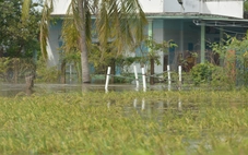 Ngập lụt liên miên ở Bình Thuận cũ, thủy lợi nói xả lũ đúng quy trình, dân không biết kêu ai