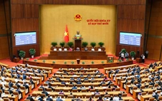 Quốc hội khóa XVI có 500 đại biểu: Dự kiến chi tiết số lượng ở trung ương và địa phương