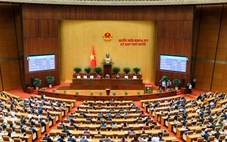 Quốc hội khóa XVI có 500 đại biểu: Dự kiến chi tiết số lượng ở trung ương và địa phương