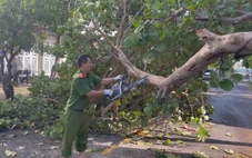 Cuộc thi Lan tỏa năng lượng tích cực 2025: Những bàn tay níu nhau qua bão lũ