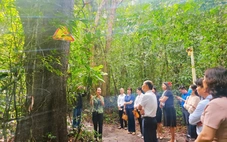 Khai mở tiềm năng để Hồ Tràm vươn tầm quốc tế