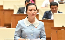 Đề nghị hãng bay nêu rõ lý do chậm, hủy chuyến bay và phải trả lãi nếu quá hạn bồi thường