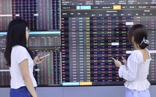 Margin nhạy cảm nhất kể từ 2022, chứng khoán cần quay trở lại với câu chuyện cơ bản