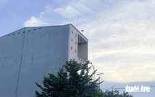 Nhà nuôi chim yến mở loa từ sáng đến đêm suốt 16 năm qua, phải làm sao?