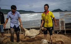 Khởi tố vụ án vỡ hồ chứa nước làm chết người ở Tuy Phong