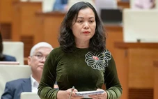 Đại biểu: 'Một chiếc váy, lọ kem, chỉ cần vài câu nói vu vơ đã có nghìn like, share và đội quân ảo'