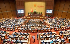 Dự kiến số lượng, cơ cấu, thành phần đại biểu Quốc hội khóa XVI ở các tỉnh, thành phố